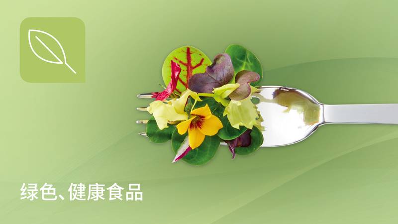 品类展示图_画板 1 副本 6