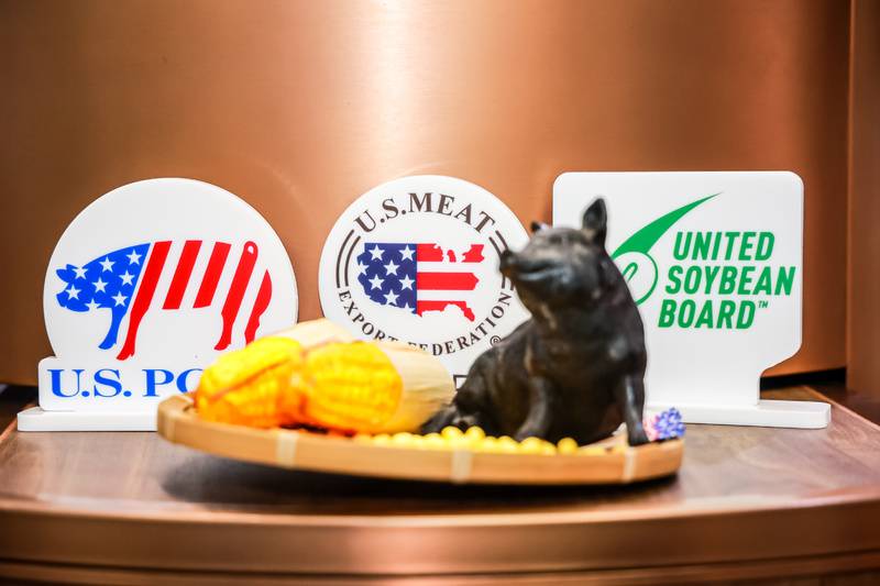 81462639_20240425105319_465043_768913284_LJAL7901