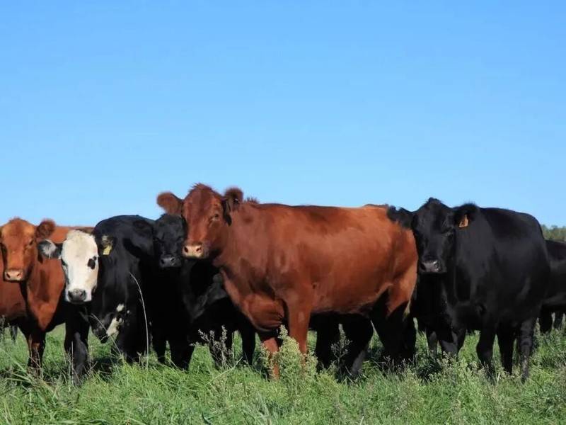 微信图片_2026-02-10_133444_284