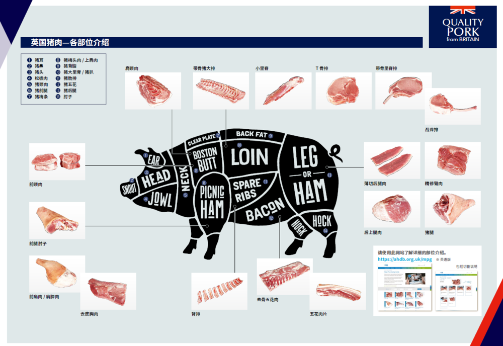 04d851ace858c567115453d52992e749